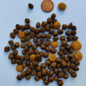 Taille croquettes Mastery chat