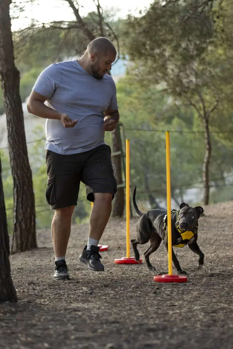 dresseur-de-chiens-a-l-exterieur-avec-son-chien-lors-d-une-seance