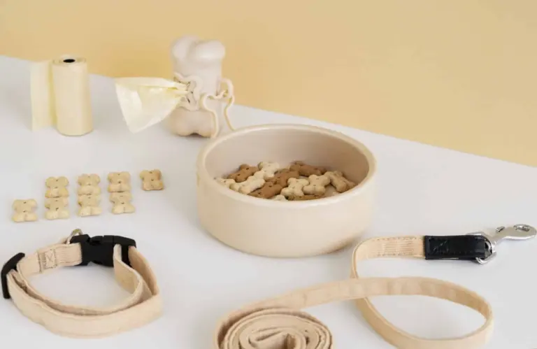 gros-plan-sur-les-accessoires-pour-chiens