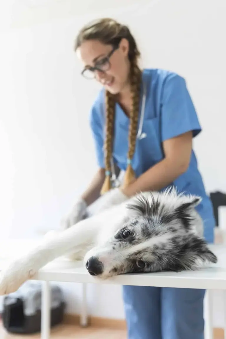 728aa64926b24f9d9ed117a620b1cb3a