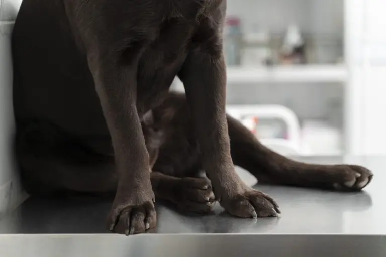 c53e481ac2094fbbaead61b8b9976343