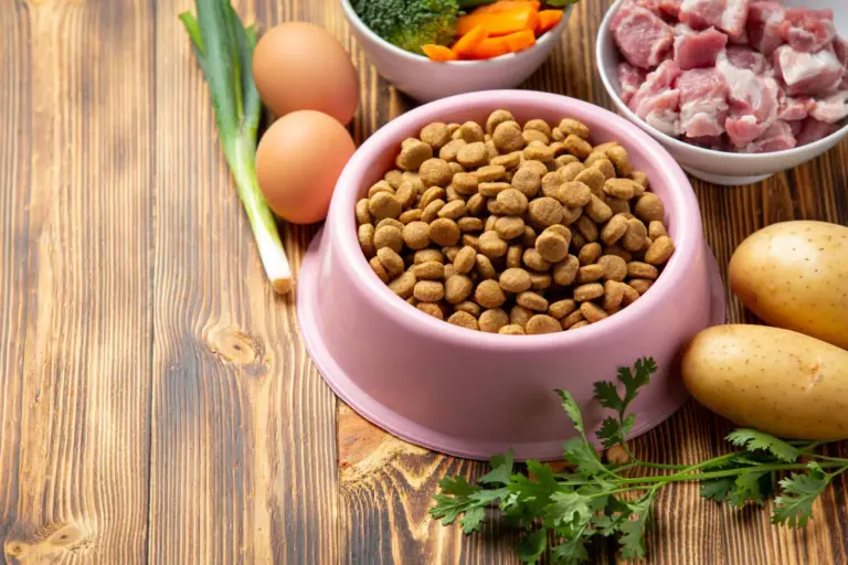 Healthy fresh pet food ingredients on dark background