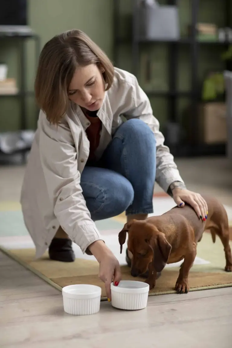 transition-alimentaire-chien-chat