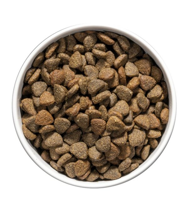 Ownat care mobilité chien 10kg – Image 3