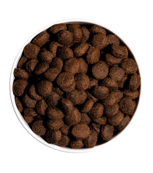 Ownat classic energy chien 20kg – Image 3