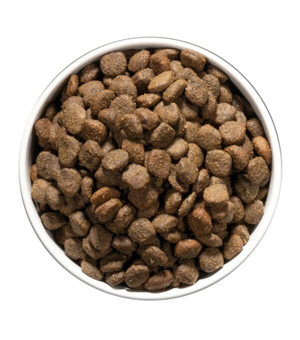 Ownat digestion chien 10kg – Image 3