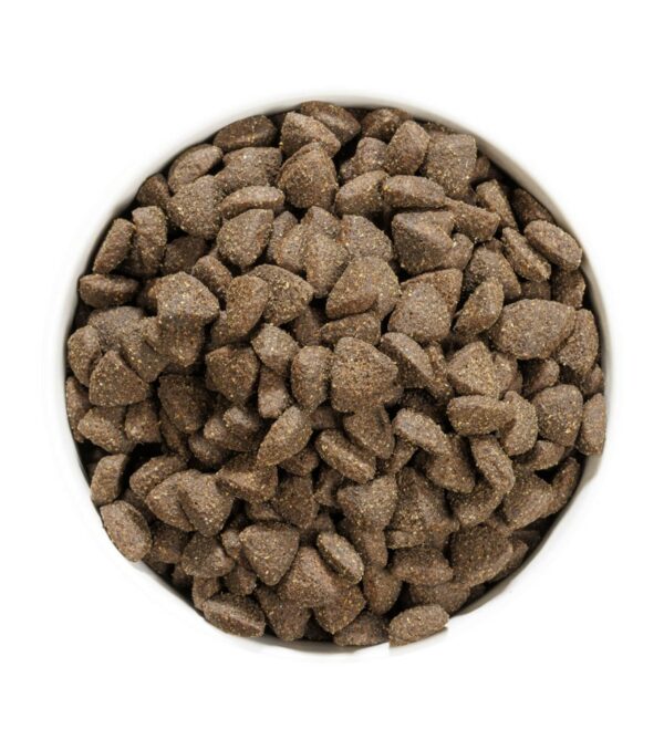 Ownat prime sans céréales adulte agneau chien 12kg – Image 3