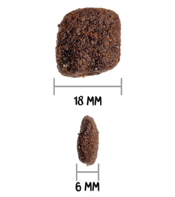 Ownat prime sans céréales hypoallergénique porc chien 12kg – Image 4