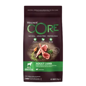 Wellness Core – Croquettes Chien Adulte digest Agneau