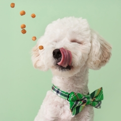 Compléments alimentaires Chiens