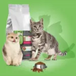 Croquettes-veterinaire-Vetsaveur-chat-light-300×300 Croquettes-veterinaire-Vetsaveur-chat-light-300×300