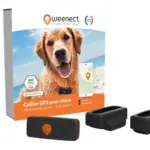 Eshop_Main_Image_Dogs_XS_FR_Black.width-800.format-webp_fE6P4fW (1)