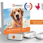 Eshop_Main_Image_Dogs_XS_FR_White.width-800.format-webp (1)
