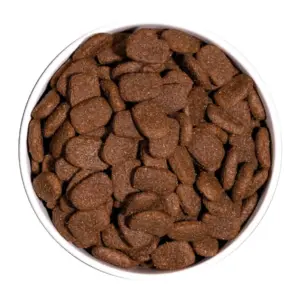 Ownat classic complet chien 20Kg