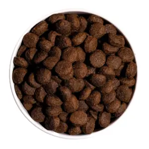Ownat classic energy chien 20kg