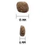 Ownat-digestion-chien-10kg-6-300×300