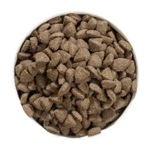 Ownat prime sans céréales adulte agneau chien 12kg