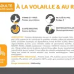 Recette-Mastery-chien-volaille-300×300 Recette-Mastery-chien-volaille-300×300