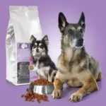 VS-croquettes-chien-senior-300×300 VS-croquettes-chien-senior-300×300