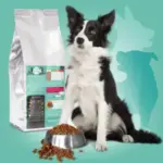 VS-croquettes-chien-taille-moyenne-300×300 VS-croquettes-chien-taille-moyenne-300×300