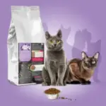croquettes-chat-senior-vetsa-veur-300×300 croquettes-chat-senior-vetsa-veur-300×300