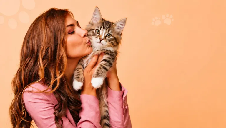Croquettes pour chat