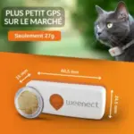 galery-cats-weenect-xs-04-black_2.width-800.format-webp_LUp07Qm-300×300 galery-cats-weenect-xs-04-black_2.width-800.format-webp_LUp07Qm-300×300