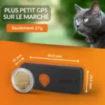 galery-cats-weenect-xs-04-black_S.width-800.format-webp-300×300 galery-cats-weenect-xs-04-black_S.width-800.format-webp-300×300
