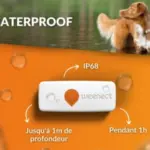 galery-dogs-weenect-xs-04-white.width-800.format-webp-300×300 galery-dogs-weenect-xs-04-white.width-800.format-webp-300×300