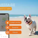 galery-dogs-weenect-xs-05-black.width-800.format-webp-300×300 galery-dogs-weenect-xs-05-black.width-800.format-webp-300×300