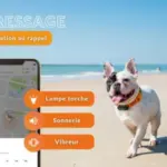 galery-dogs-weenect-xs-05-black_2.width-800.format-webp_hojOQmT-300×300
