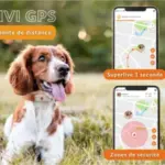 galery-dogs-weenect-xs-05-white.width-800.format-webp-300×300 galery-dogs-weenect-xs-05-white.width-800.format-webp-300×300