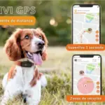 galery-dogs-weenect-xs-05-white_2.width-800.format-webp-300×300