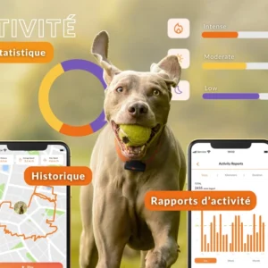 Traceur GPS pour chien - Weenect XS - Noir | Mini GPS