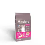 mastery-chaton-kitten mastery-chaton-kitten