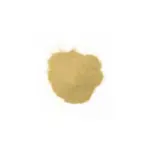 moule-verte-complement-alimentaire-articulation-chien-chat-1-300×300 moule-verte-complement-alimentaire-articulation-chien-chat-1-300×300
