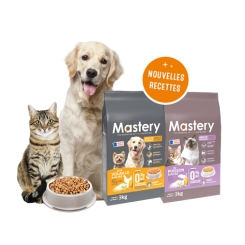 Mastery chien