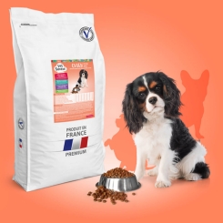 Vet Saveur chien