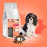 vetsaveur-chien-petite-race-croquettes-300×300 vetsaveur-chien-petite-race-croquettes-300×300