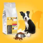vetsaveur-croquettes-chiot-junior-300×300 vetsaveur-croquettes-chiot-junior-300×300