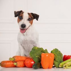 Digestion sensible