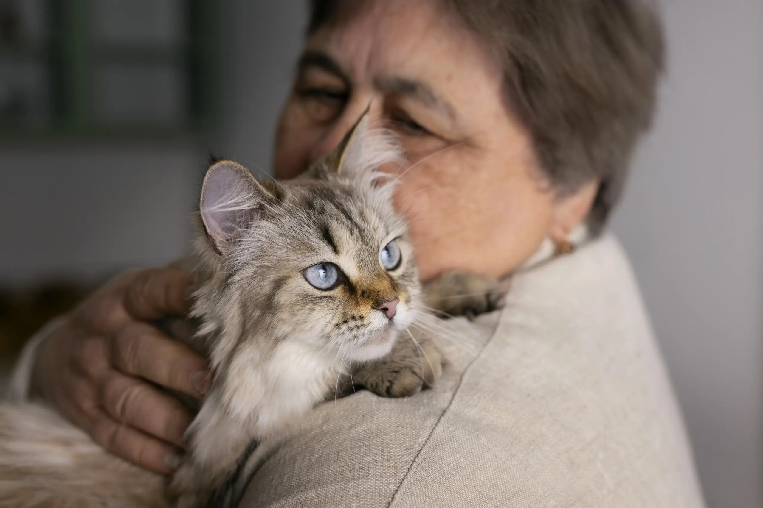 Chat senior