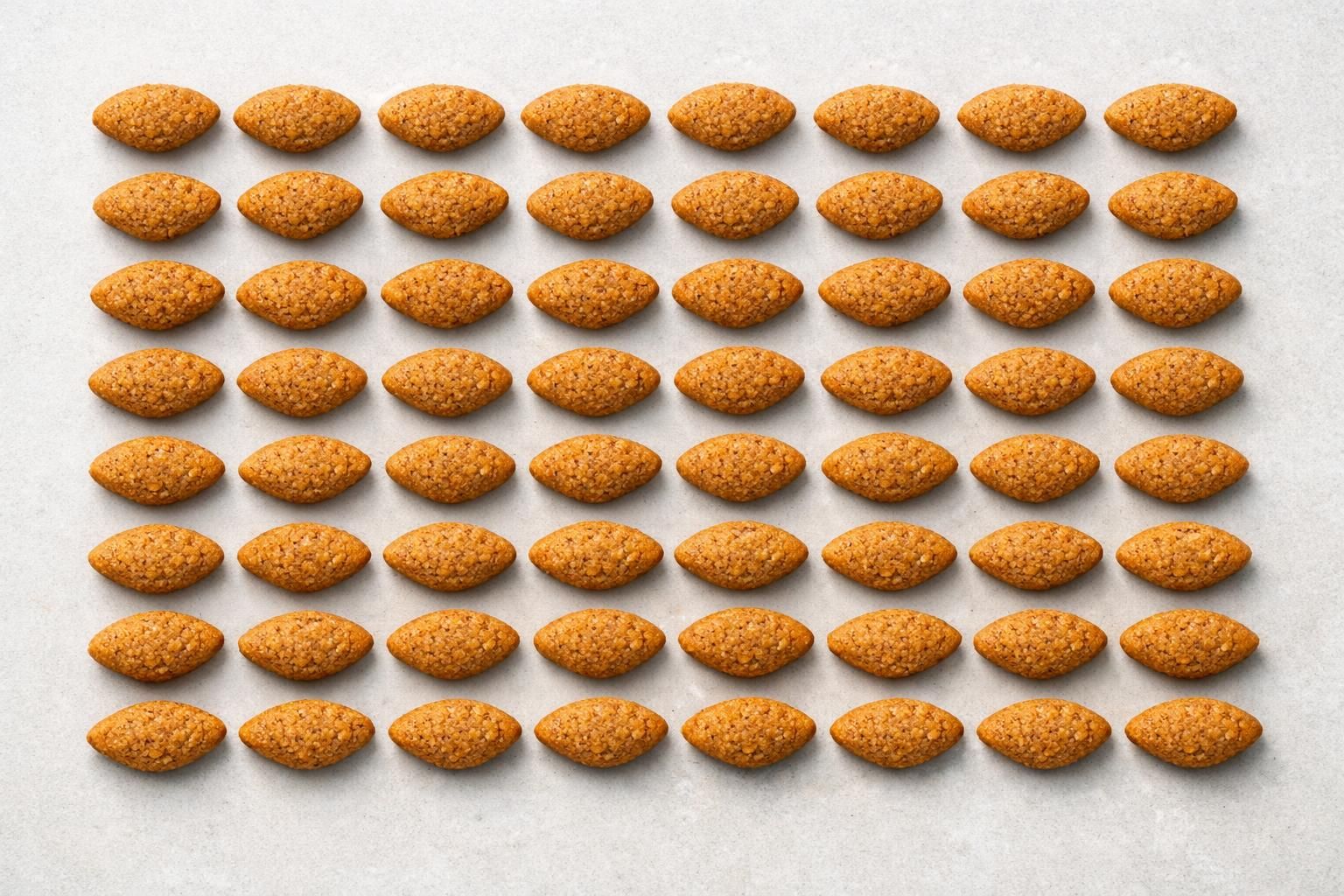 Gros plan de croquettes en forme d'amande adaptées au chat persan