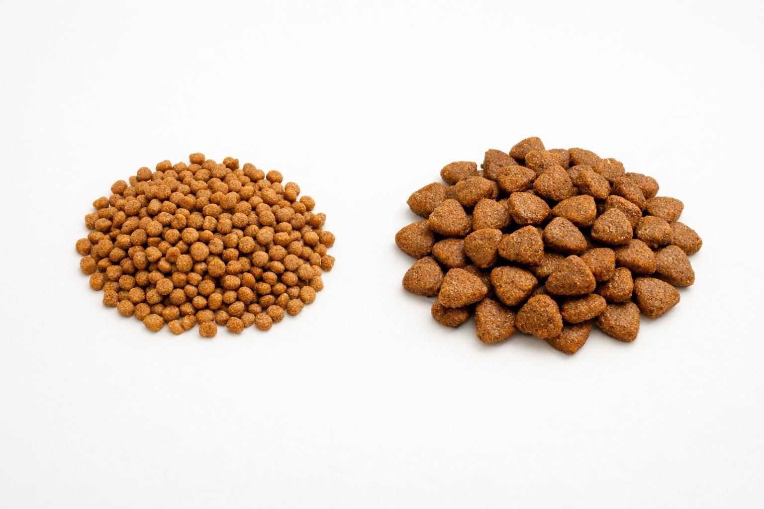 Comparaison entre des croquettes chaton et des croquettes pour chat adulte