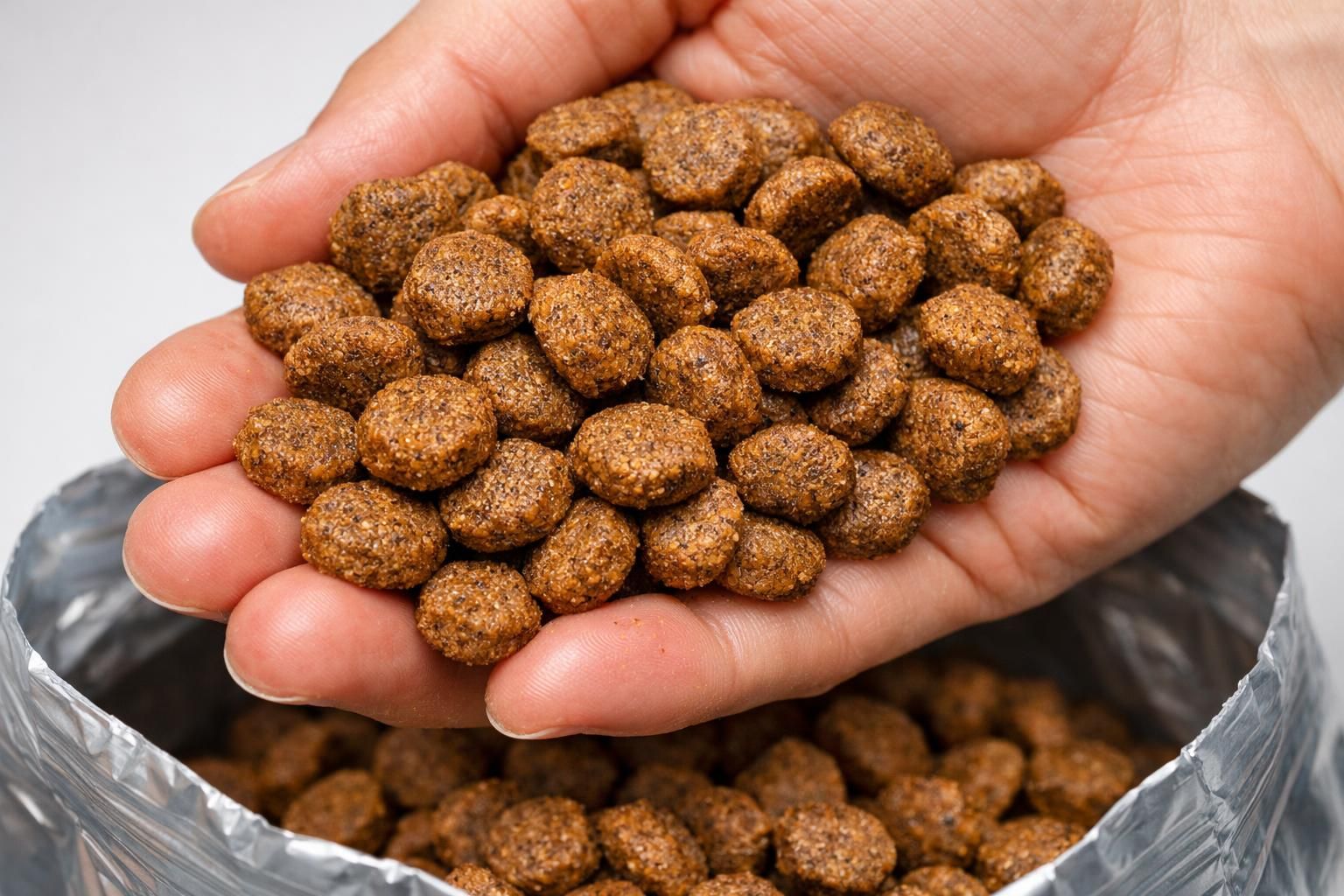 Main tenant une poignée de croquettes pour chien au-dessus du paquet